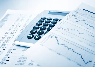 Audyt I Doradztwo Podatkowe - Nerga Jolanta, Kustra Violetta